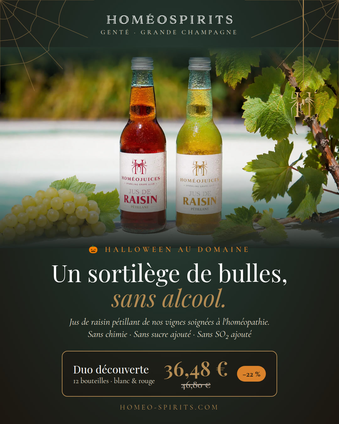 Halloween au domaine : l'araignée vous fait gagner un pack de 6 HoméoJuices