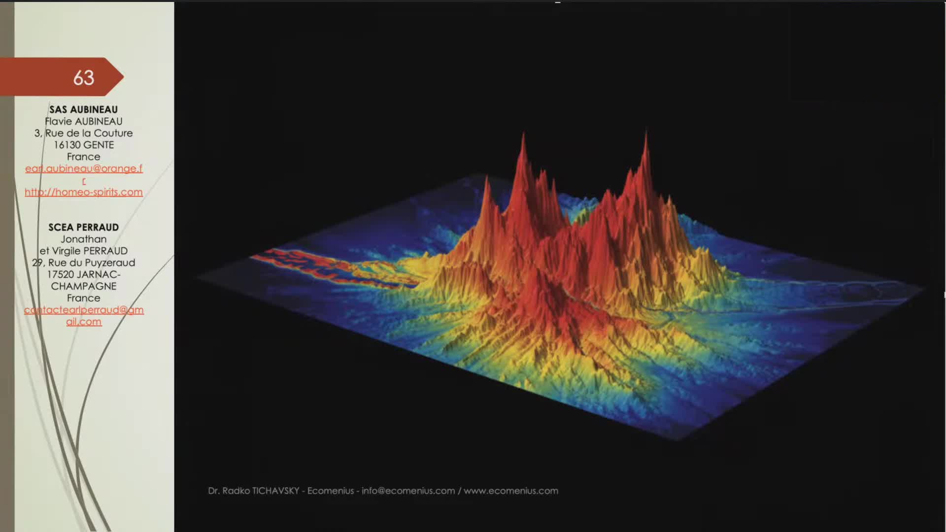 Fractalité en 3D de la goutte de cognac de la SAS Aubineau et de la SCEA Perraud