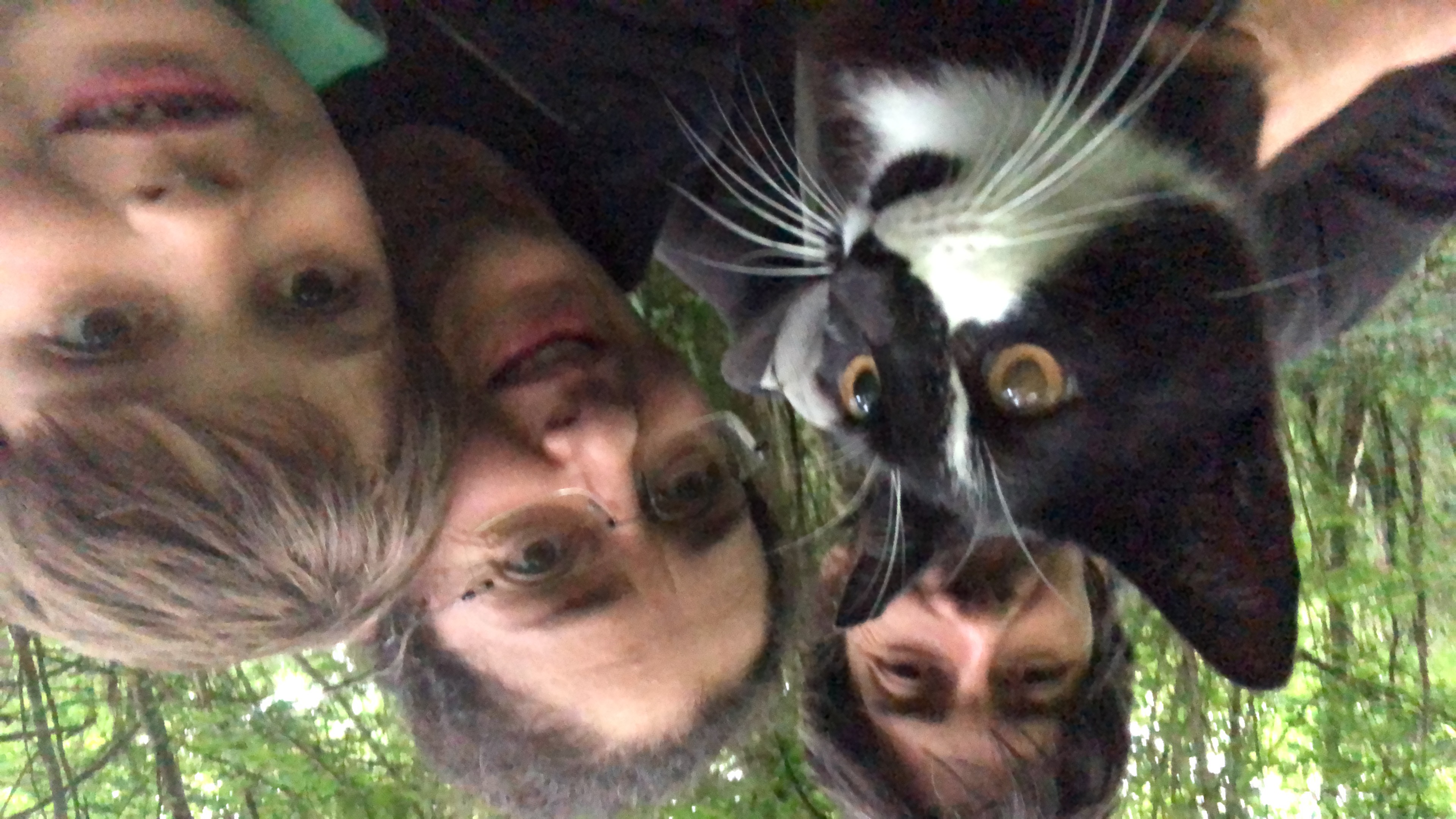 La famille et l'un des chats gardiens dans les bois