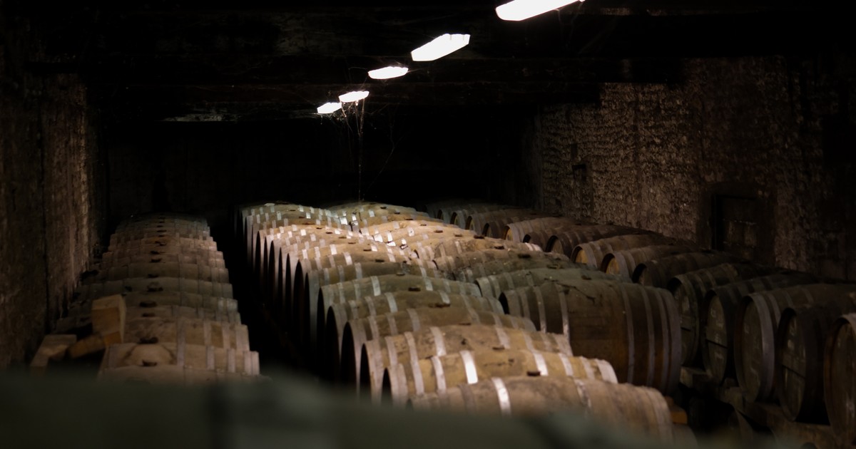 Barriques en élevage dans le chai HomeoSpirits — les futurs cognacs et eaux-de-vie du domaine