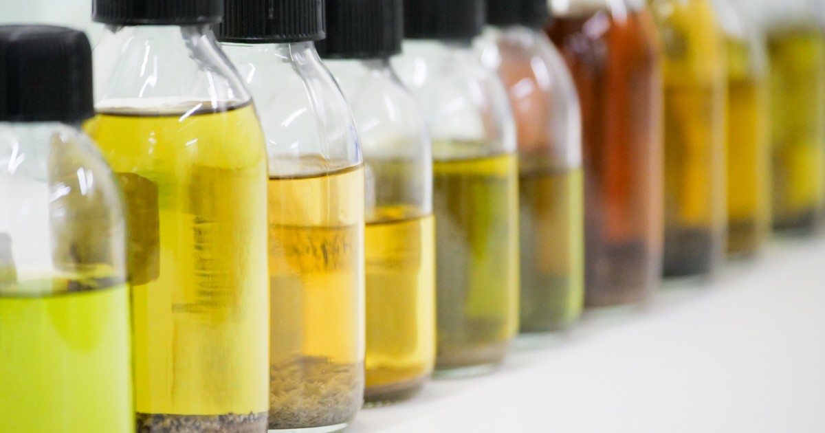 Préparations et macérations holohoméopathiques utilisées pour soigner la vigne du domaine HomeoSpirits