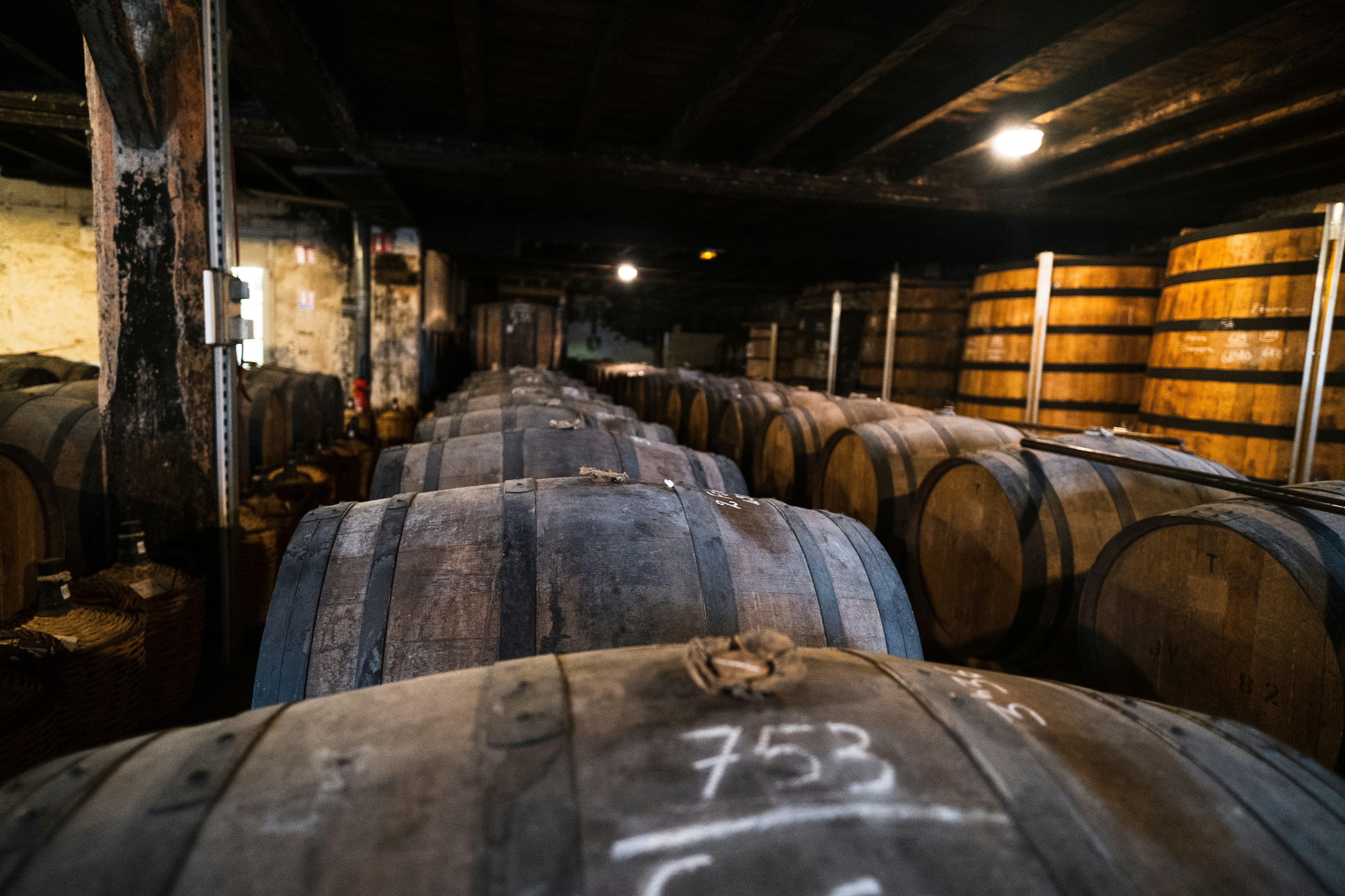 Chai de vieillissement du cognac, longues rangées de barriques de chêne