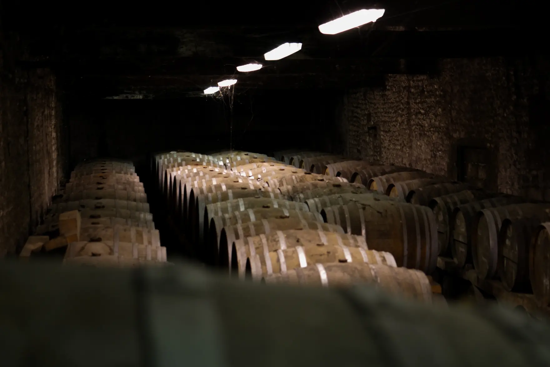 Chai de vieillissement du cognac, longues rangées de barriques de chêne